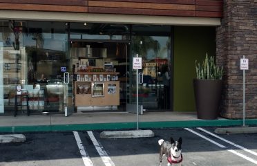 Just Food For Dogs