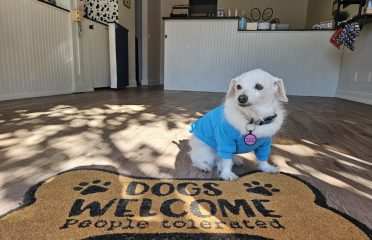 Newport Paws